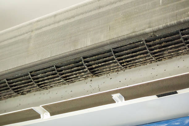 Best Professional Duct Cleaning Services  in Oronogo, MO